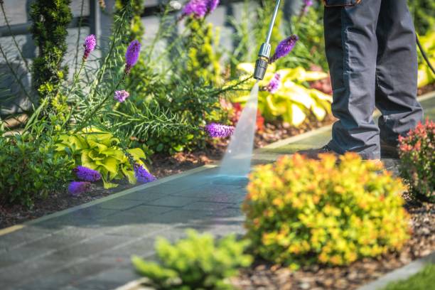 Best Restaurant Pressure Washing  in Lester Prairie, MN