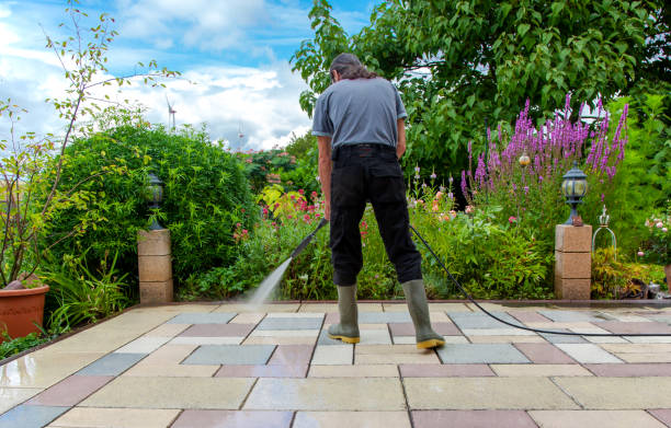 Best Sidewalk and Walkway Cleaning  in Lester Prairie, MN